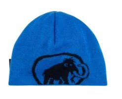 Mammut - Tweak Beanie -Prana Clothing Shop Capture 59f87be4 1d1c 49f9 bf41 8f028b1f0e51